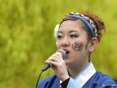 静岡大学　お茶の子祭々