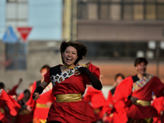 よさこい東海道2016