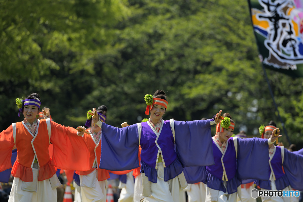 あっぱれ富士　2018