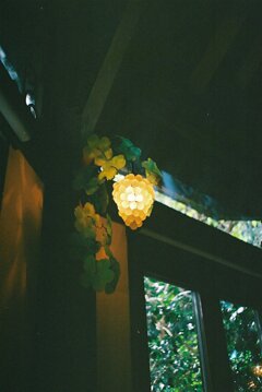 FILM NM19