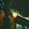 FILM NM19