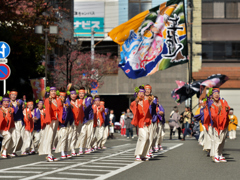 よさこい東海道2016