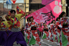 よさこい東海道2016