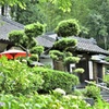 則天去私