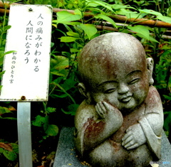 今日の一言　6