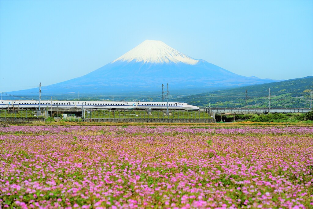 春の予感