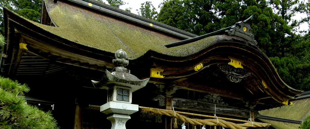 私の愛した小国神社