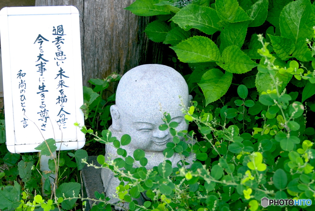 今日の一言　13
