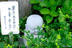 今日の一言　13