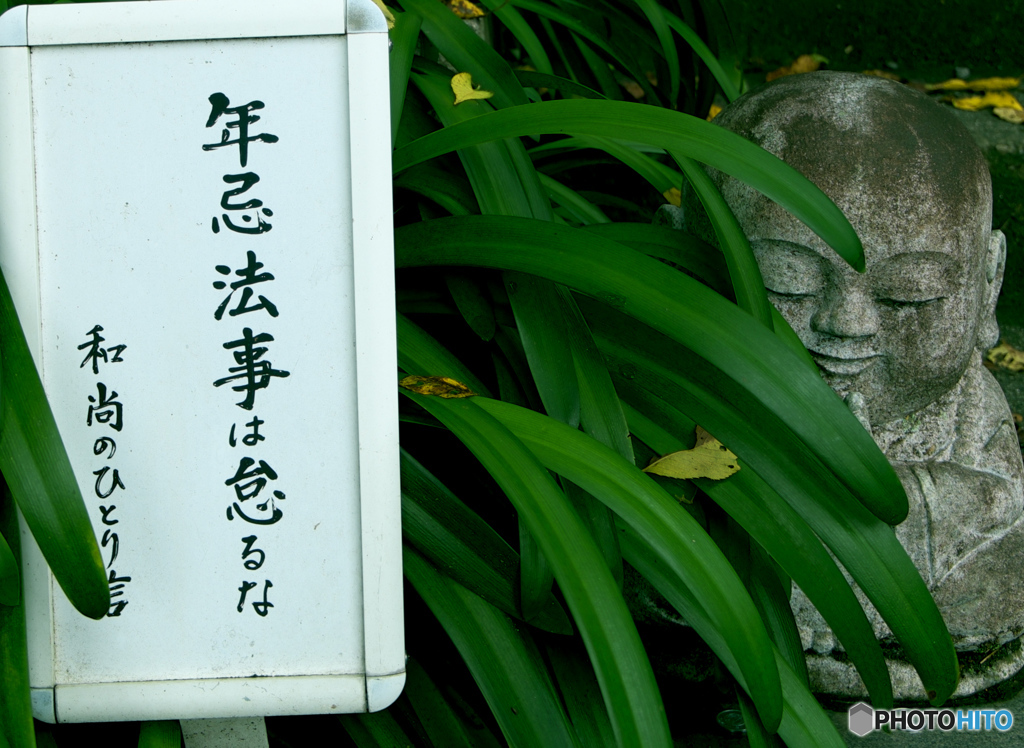 今日の一言　28