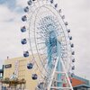 FILM NM17