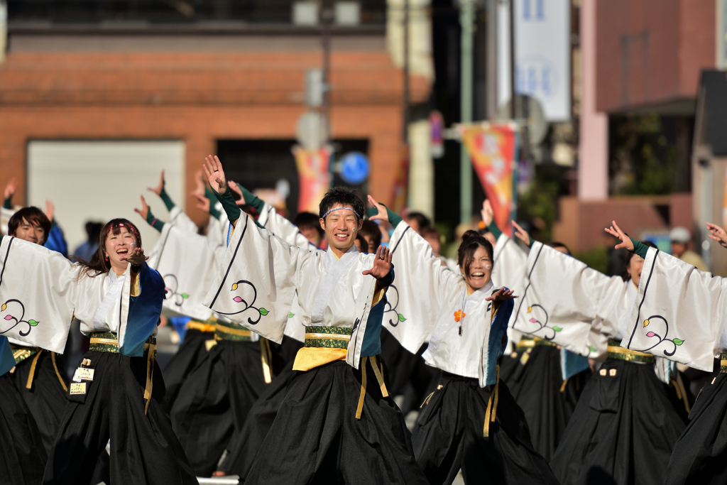 よさこい東海道2016