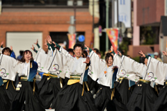 よさこい東海道2016