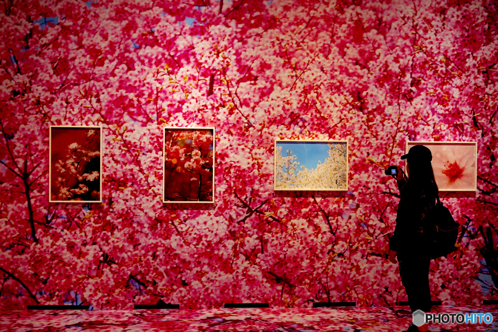 蜷川実花静岡展
