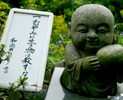 今日の一言　8
