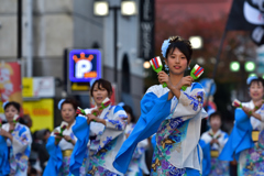 よさこい東海道2016