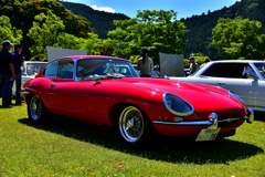 Jaguar　E-type　fhc　sr.Ⅰ