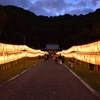 万灯みたま祭