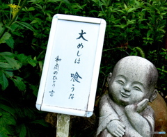 今日の一言　10