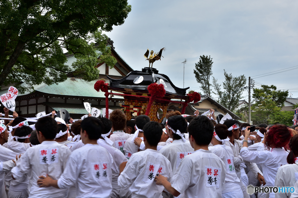 焼津神社　荒祭