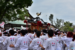 焼津神社　荒祭