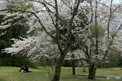 のんび～りと
