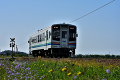 The　Tenhamasen Ⅱ