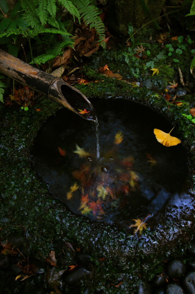秋冷水