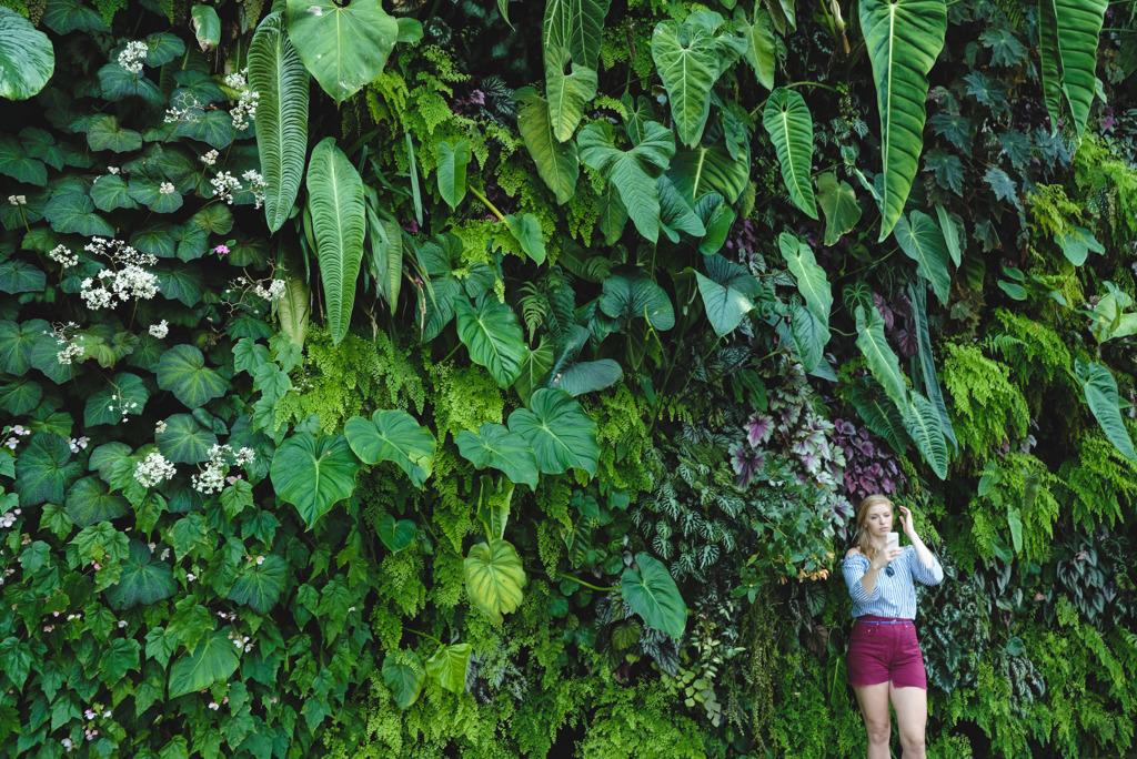 Vertical Forest