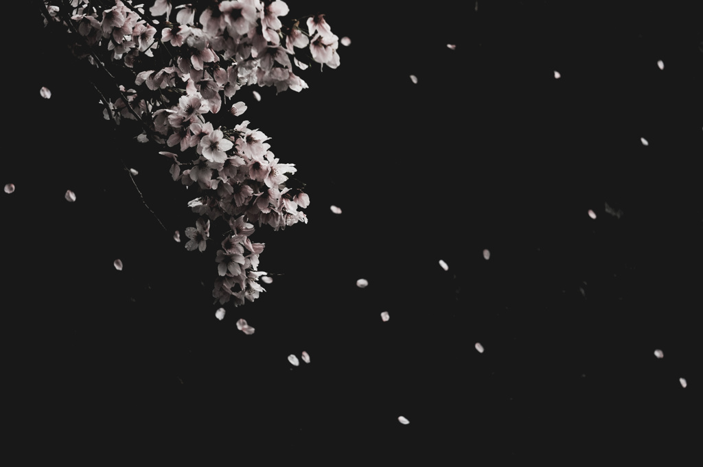 散る桜　残る桜も　散る桜