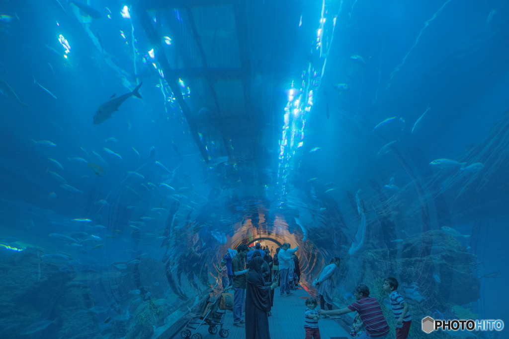 ドバイの水族館