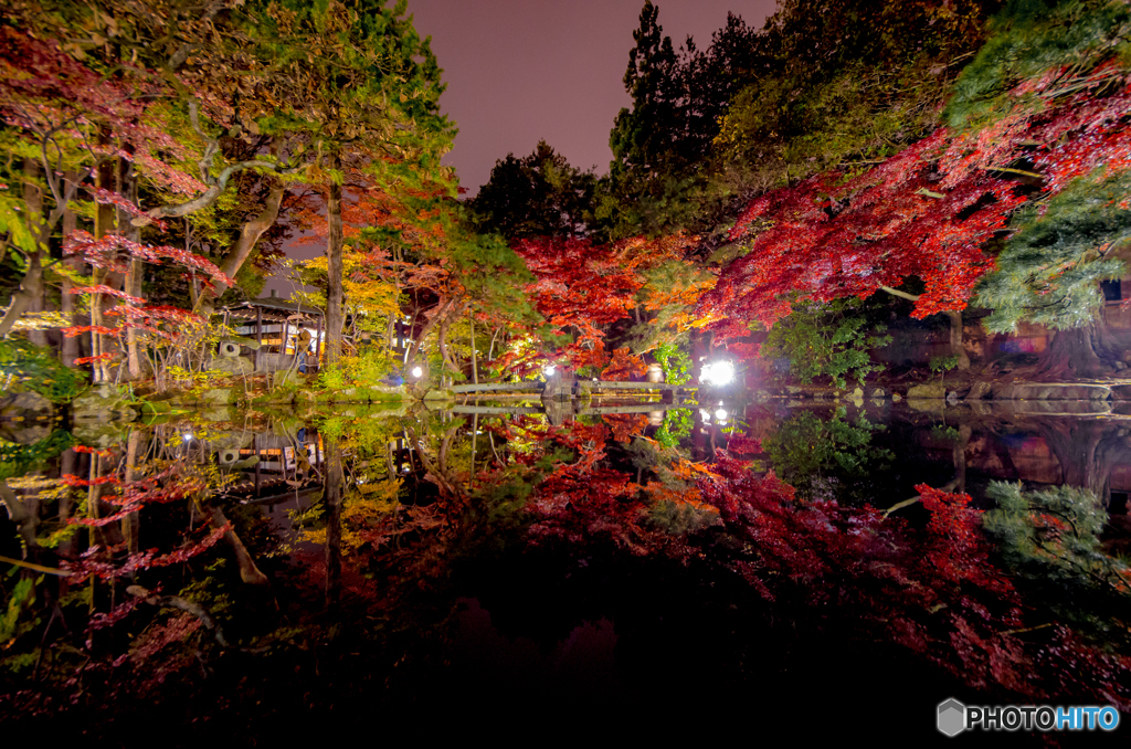 鏡面紅葉
