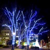 White illumination