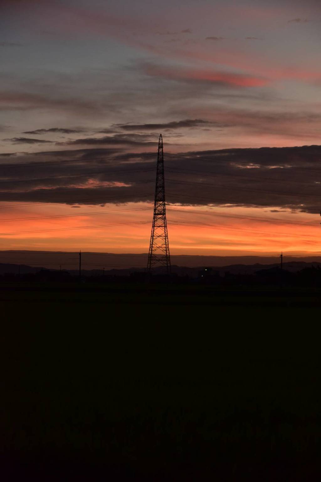 DSC_1631