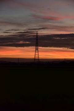 DSC_1631