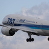 Blue Wing 787