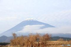 御殿場の富士１