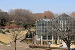 相模原公園にて　70-300IS2USMテスト⑥