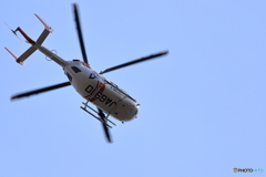相模原公園にて　70-300IS2USMテスト⑩