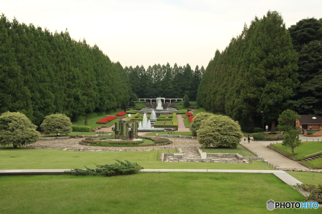 相模原公園にて