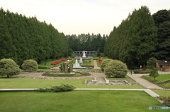 相模原公園にて