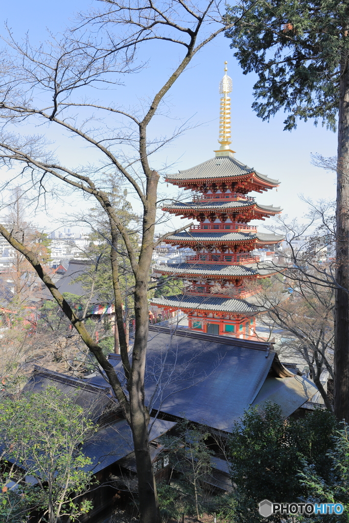高幡不動尊にて⑧
