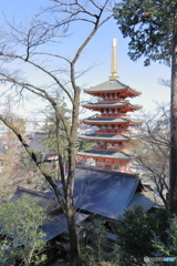 高幡不動尊にて⑧