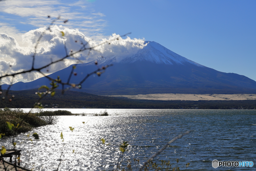 富士と山中湖②