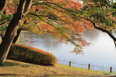 公園の水辺④