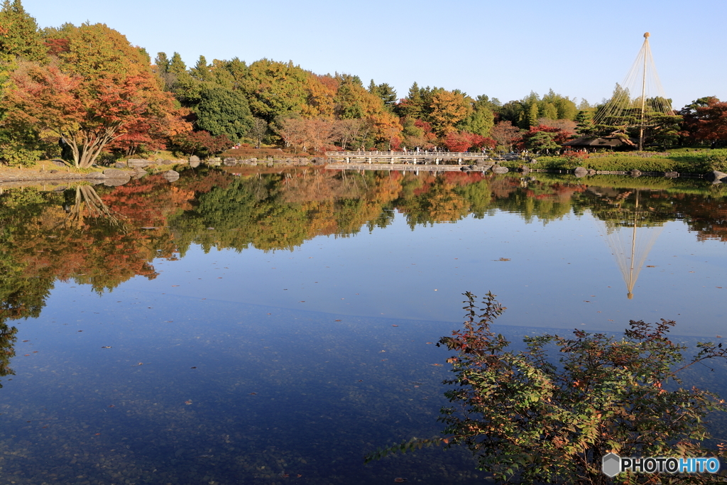 公園の水辺③