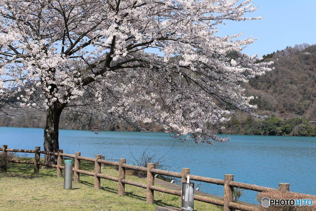 宮ケ瀬湖にて⑤