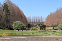 相模原公園にて　70-300IS2USM⑤