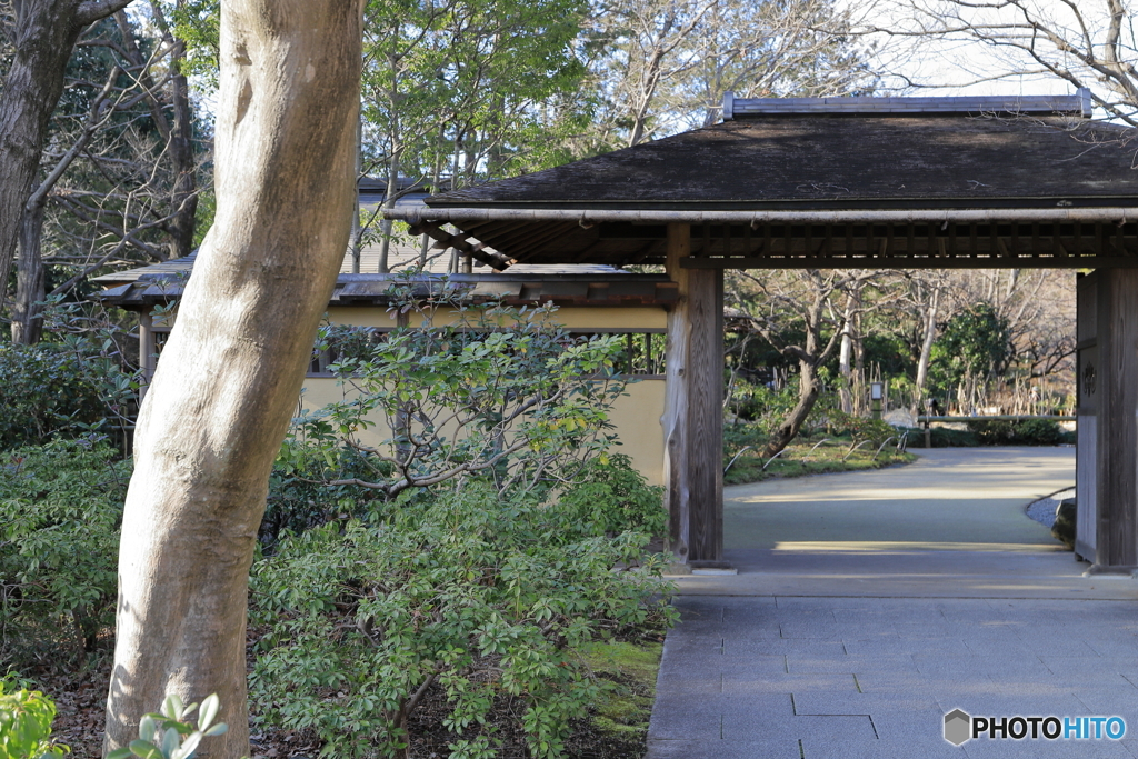 昭和記念公園にて④