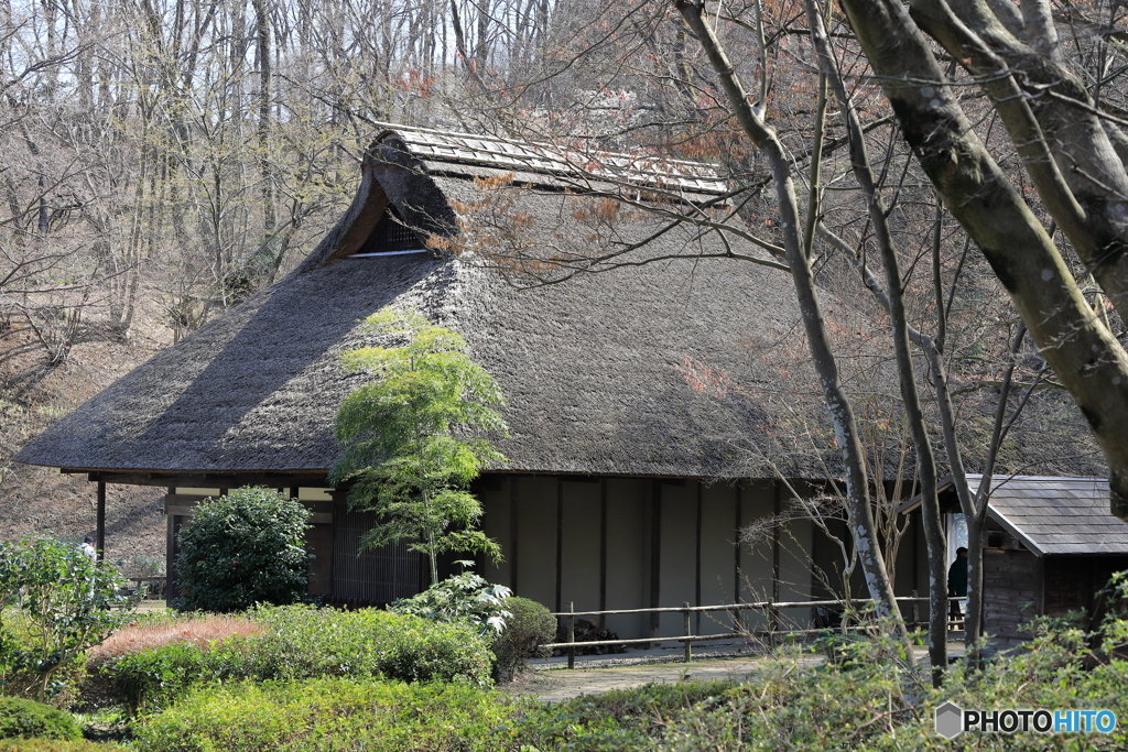 薬師池公園にて　70-300IS2USMテスト⑭